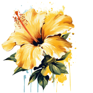 Hawaii state flower - Hibiscus